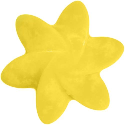 Box of Bulk Nat-Wax Melts - Japanese Magnolia