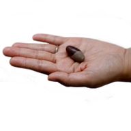 One Inch Lingam - 3 Stones ( 4 pouches)
