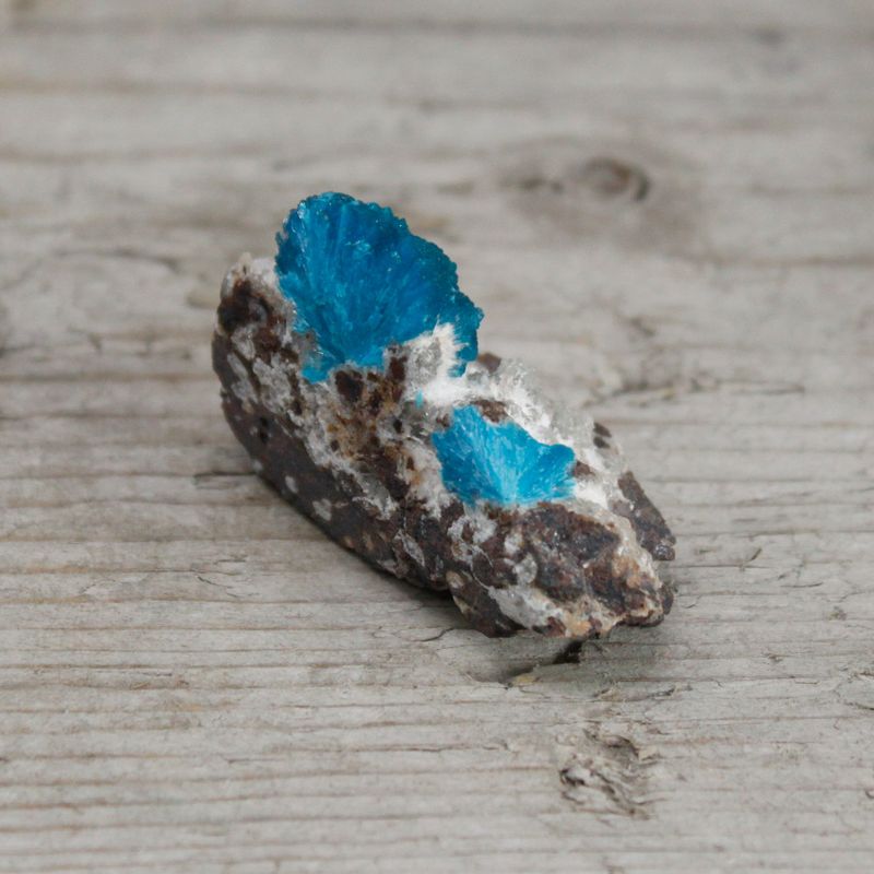 Cavansite with Metrics 30-40mm