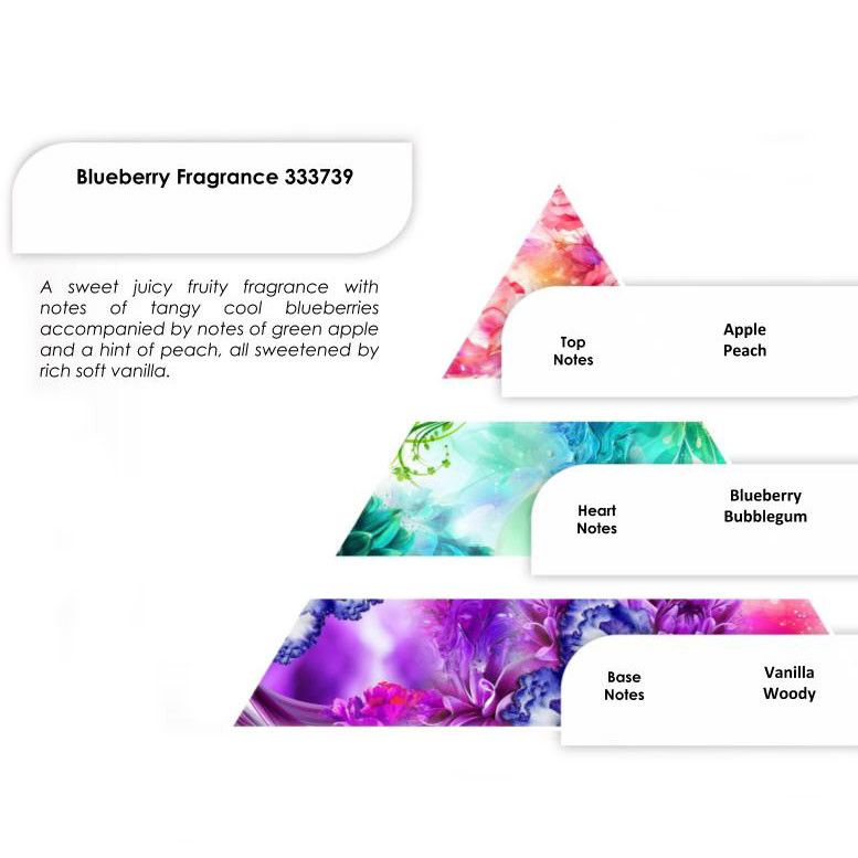 Pure Fragrance Oils 250g - Blueberry