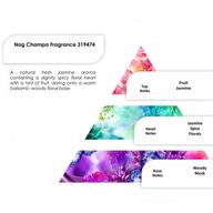 Pure Fragrance Oils 250g - Nag Champa