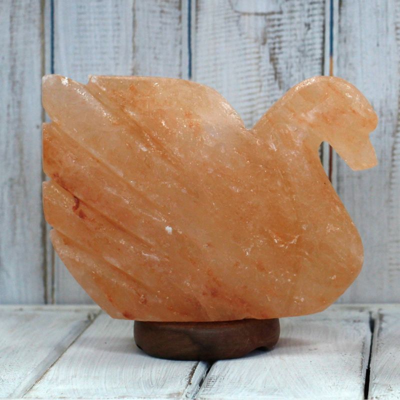 Crafted Salt Lamp - Swan 7x17x14