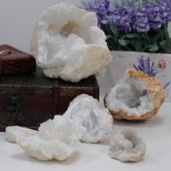 Unopened Goedes 8x8x4 cm