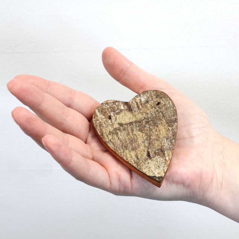 Colour Rustic Bark Letters - LOVE  (4x3)