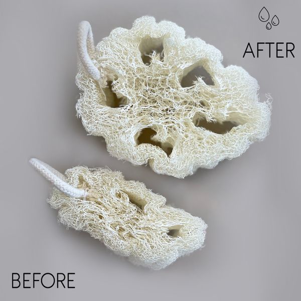 Egyptian Luxury Loofah with Cotton String - Non-Compressed - 8-12cm