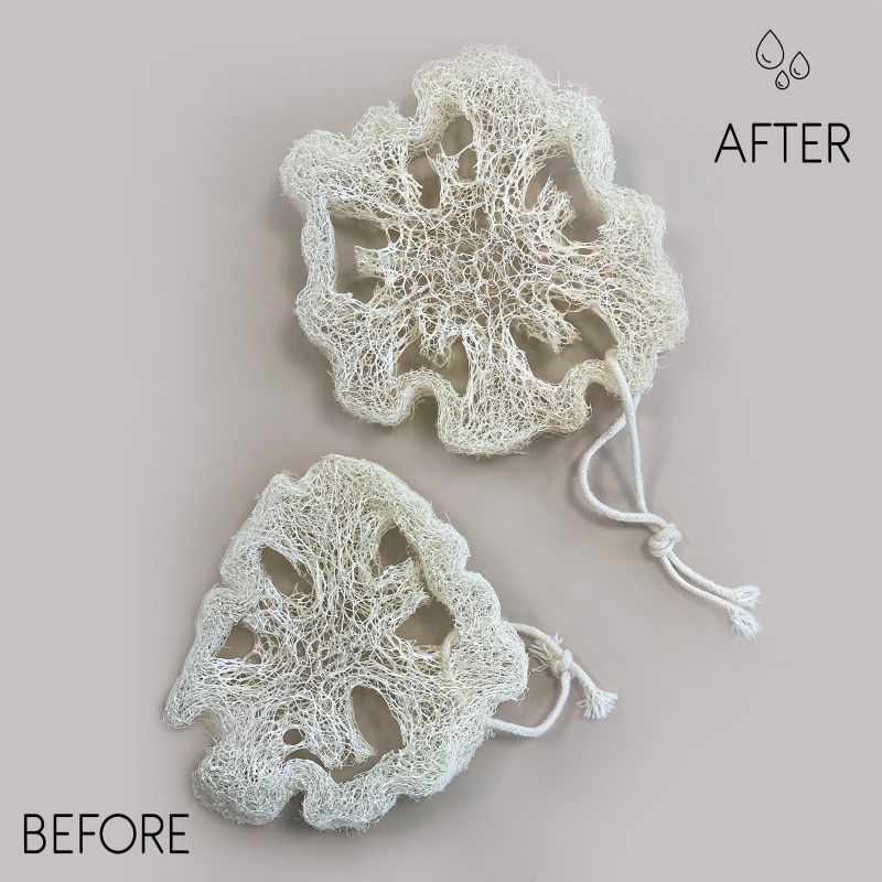 Egyptian Luxury Loofah with Cotton String - Non-Compressed - 2cm