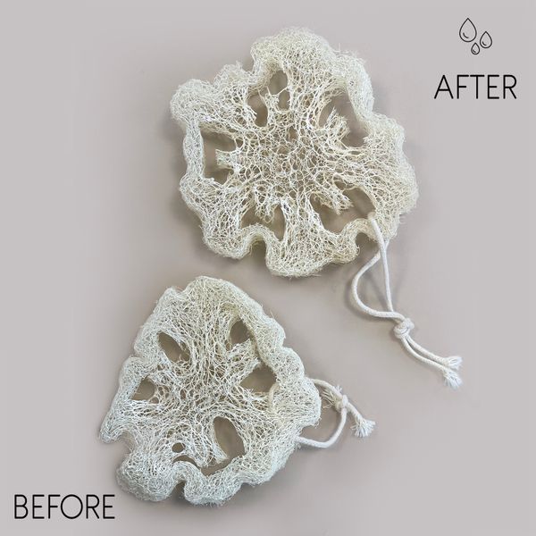 Egyptian Luxury Loofah with Cotton String - Non-Compressed - 2cm