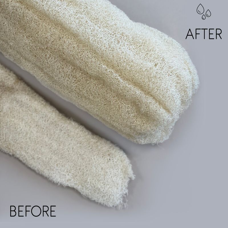 Egyptian Luxury Whole Loofah - Compressed - 60cm+