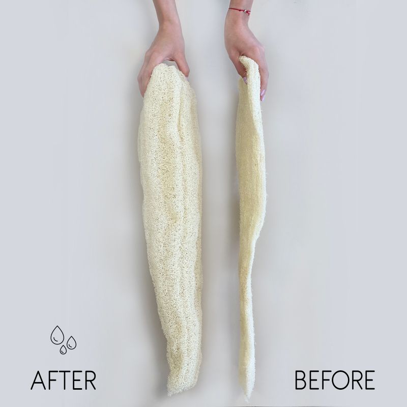 Egyptian Luxury Whole Loofah - Compressed - 35-50cm