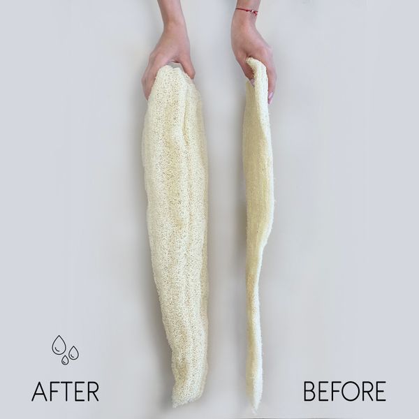 Egyptian Luxury Whole Loofah - Compressed - 35-50cm