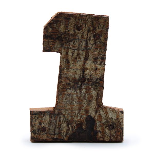 Rustic Bark Number - "1" (12) - Small 7cm