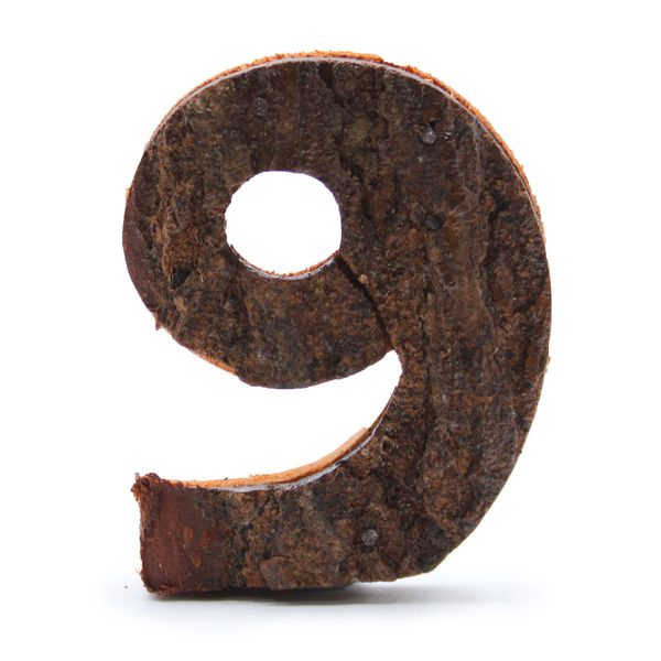 Rustic Bark Number - "9" (12) - Small 7cm