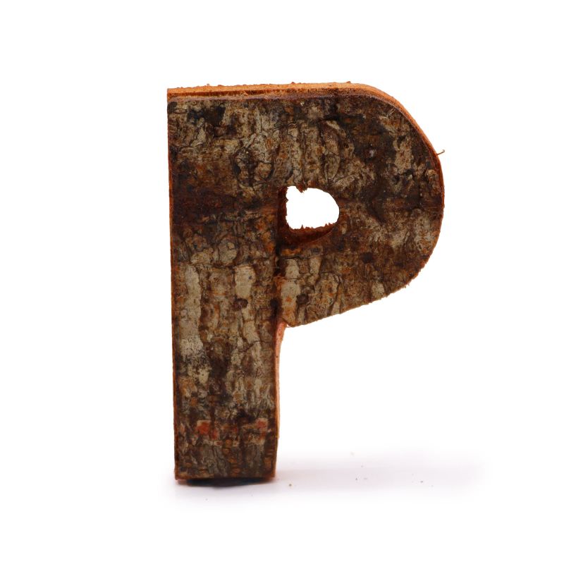 Rustic Bark Letter   - "P" (12) - Small 7cm