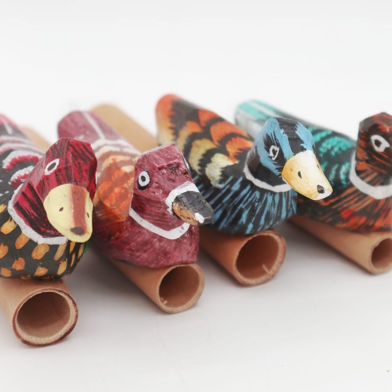 Duck Whistle - 4 varieties