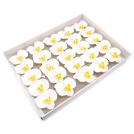 Craft Soap Flower - Paeonia - White