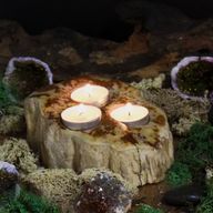 Petrified Wood Candle Holder - Triple