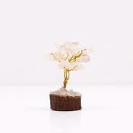 Mini Gemstone Trees On Wood Base - Rock Quartz (15 stones)