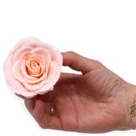 Craft Soap Flower - Lrg (7-Layer) Vintage Rose - Edwardian Blush