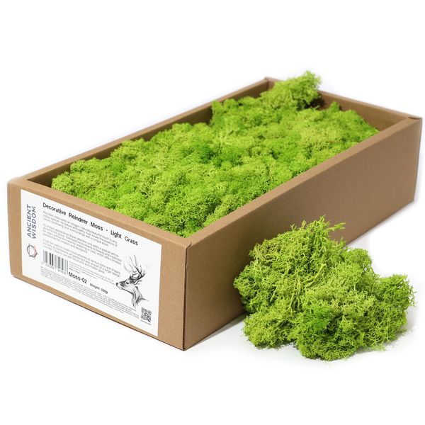 Quality Decorative Reindeer Moss - Light Grass  - 500g Box