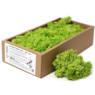 Quality Decorative Reindeer Moss - Light Grass  - 500g Box