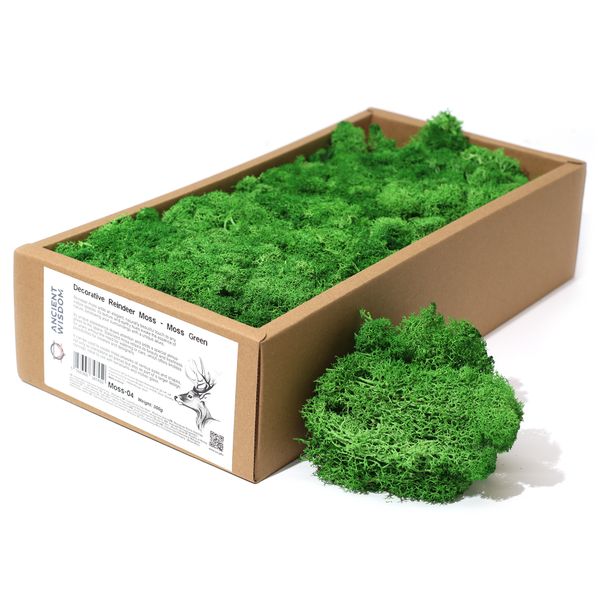 Quality Decorative Reindeer Moss - Moss Green - 500g Box