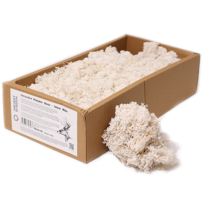 Quality Decorative Reindeer Moss - Snow White - 500g Box