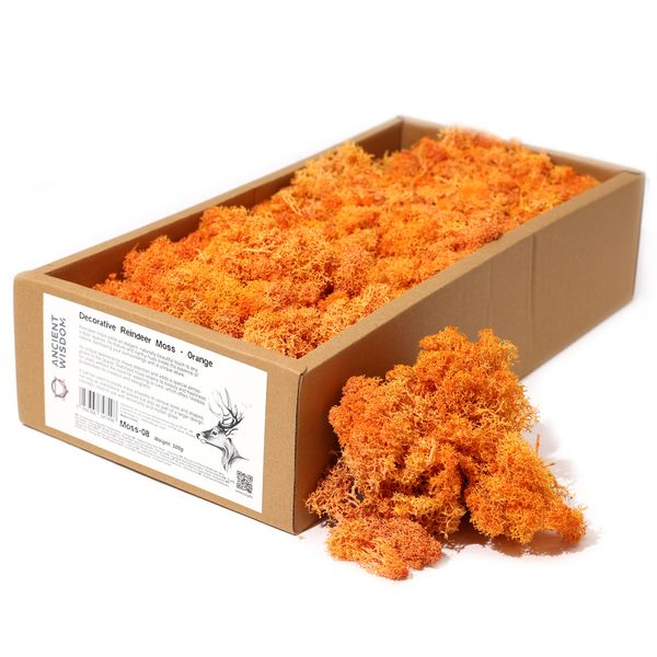 Quality Decorative Reindeer Moss - Orange - 500g Box