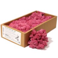 Quality Decorative Reindeer Moss - Pink - 500g Box