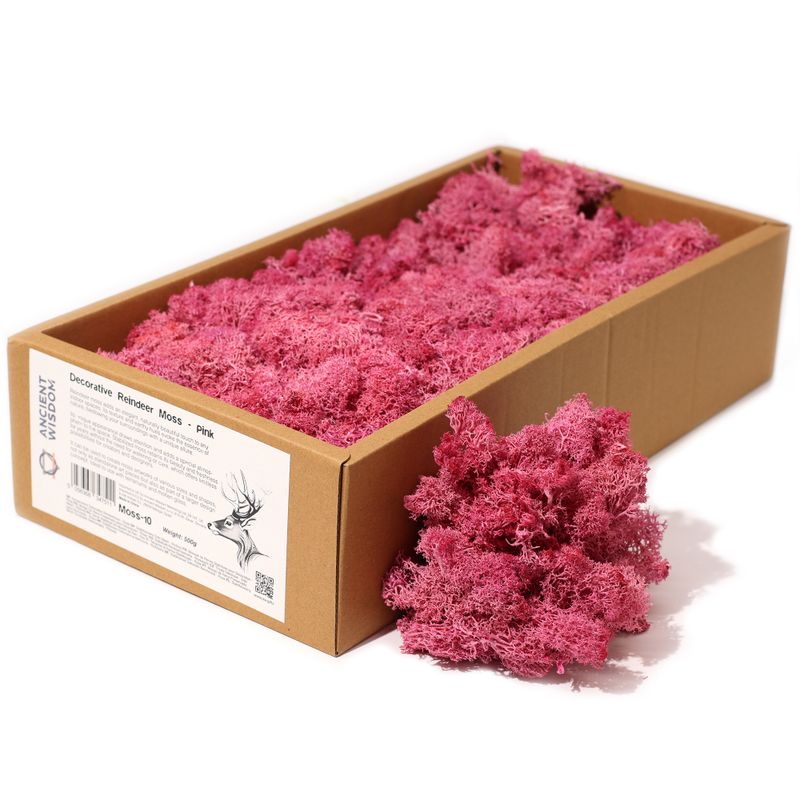 Quality Decorative Reindeer Moss - Pink - 500g Box