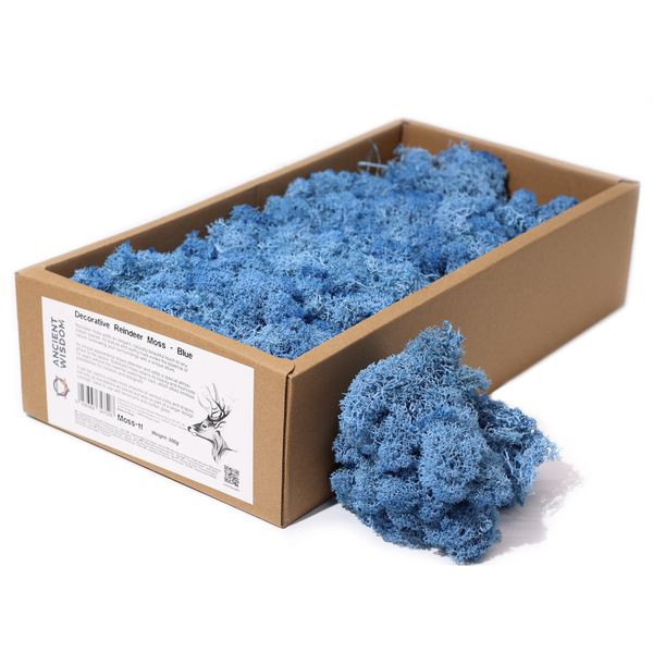 Quality Decorative Reindeer Moss - Blue - 500g Box
