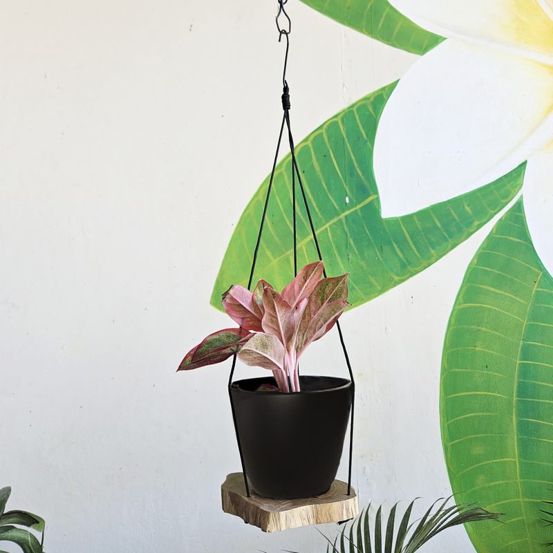 Hanging Gamel Wood Shelf - One Level