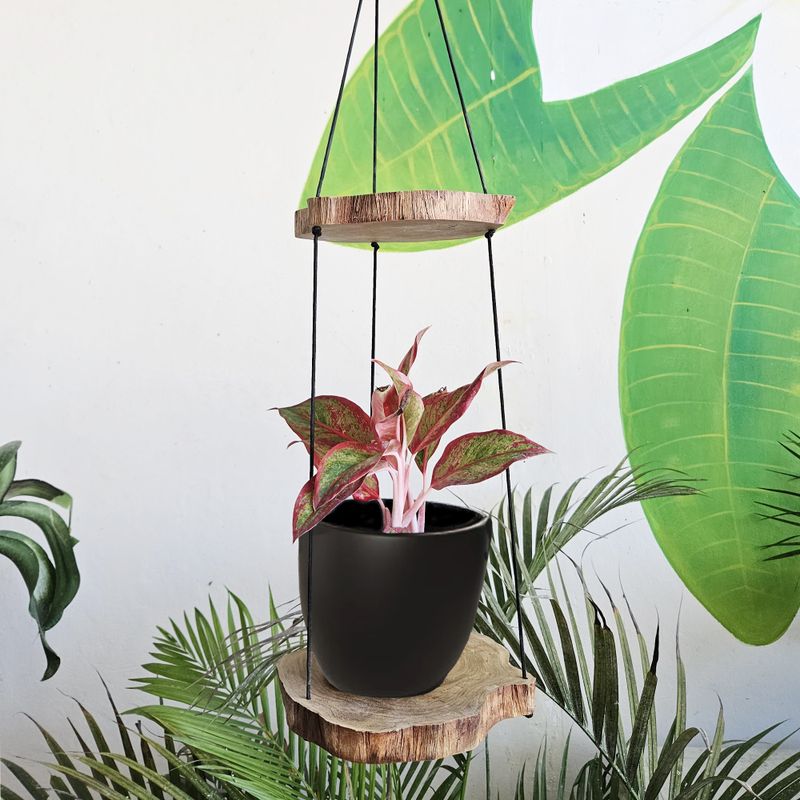 Hanging Gamel Wood Shelf - Two Levels