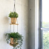 Hanging Gamel Wood Shelf - Two Levels