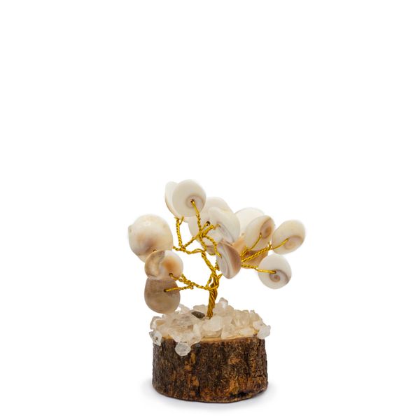 Small Gomati Chakra Circle Stone Trees with Rudraksha - (15 stones)