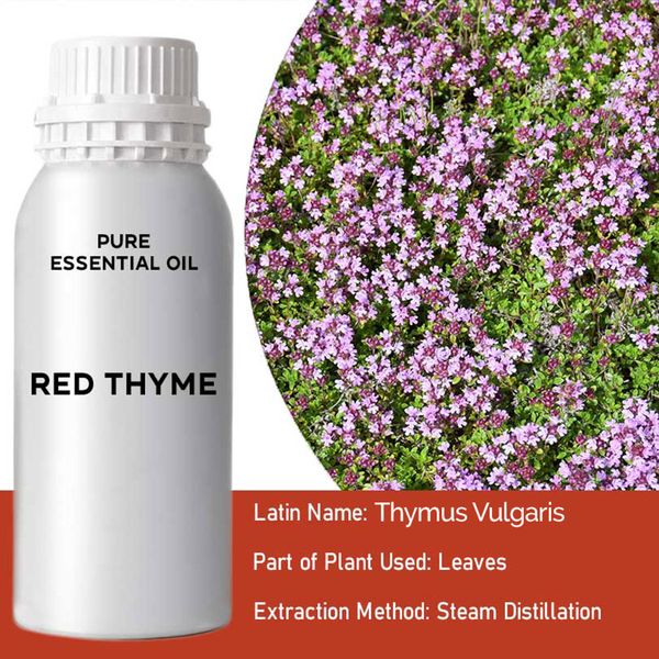 Red Thyme Essential Oil 500ml