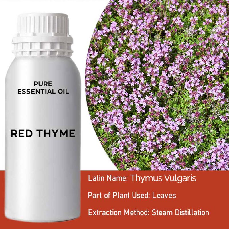 Red Thyme Essential Oil 500ml