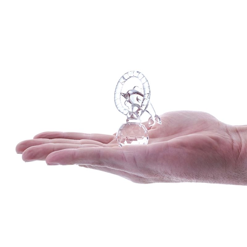 Dolphin Jumping Through Hoop (Small)