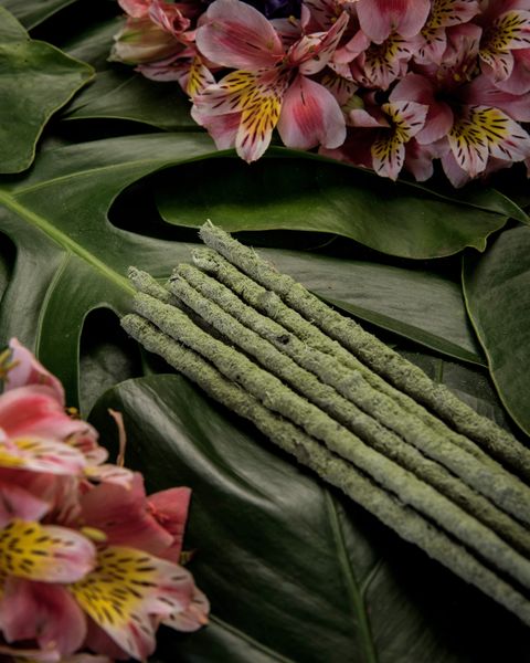 6x Incense Botanical Green Tea - Champa