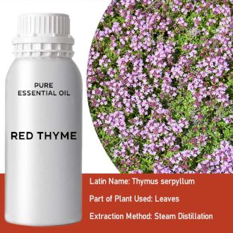 Red Thyme Essential Oil 500ml