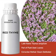 Red Thyme Essential Oil 500ml
