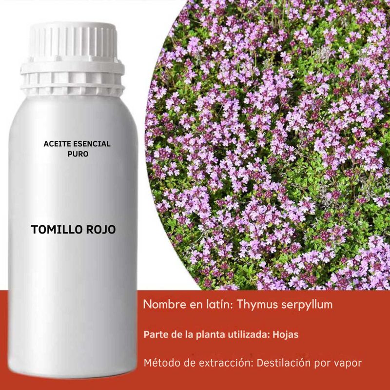Red Thyme Essential Oil 500ml