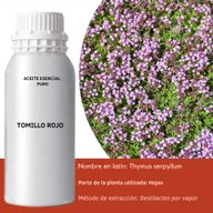 Red Thyme Essential Oil 500ml