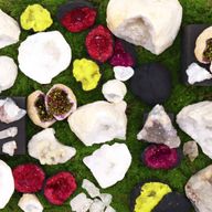 Calcite Geodes and Mineral Specimens Starter Pack