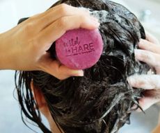 Solid Shampoo - Starter Pack