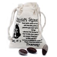 Shiva Lingam Starter Pack
