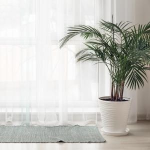 Wholesale Indian Handloom Cotton Rug - AW Artisan Europe - Giftware Supplier