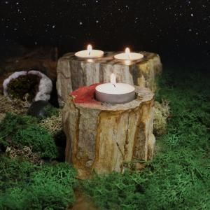 Wholesale Stone candle holders in petrified wood - AW Artisan Europe - Giftware Supplier