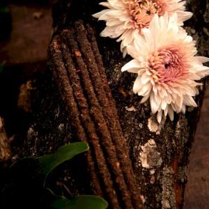 Wholesale Botanical Incense Sticks - AW Artisan Europe - Giftware Supplier