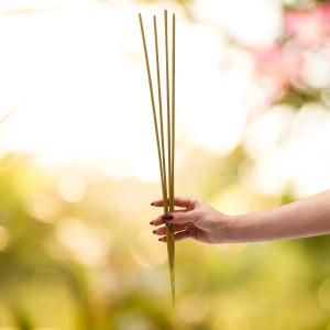 Wholesale Biofresh Garden Incense Sticks - AW Artisan Europe - Giftware Supplier
