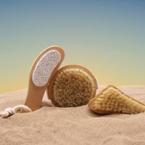 Wholesale Brush Scrub & Scrape - AW Artisan Europe - Giftware Supplier